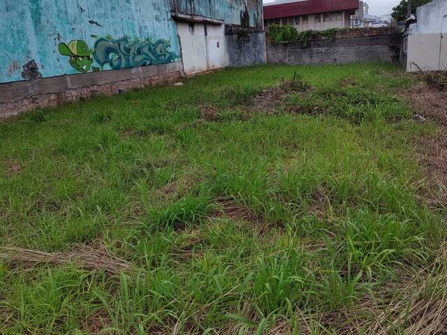 #307 - Área para Venda em Florianópolis - SC - 1