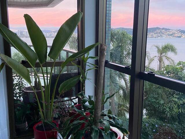#AP318 - Apartamento para Venda em Florianópolis - SC